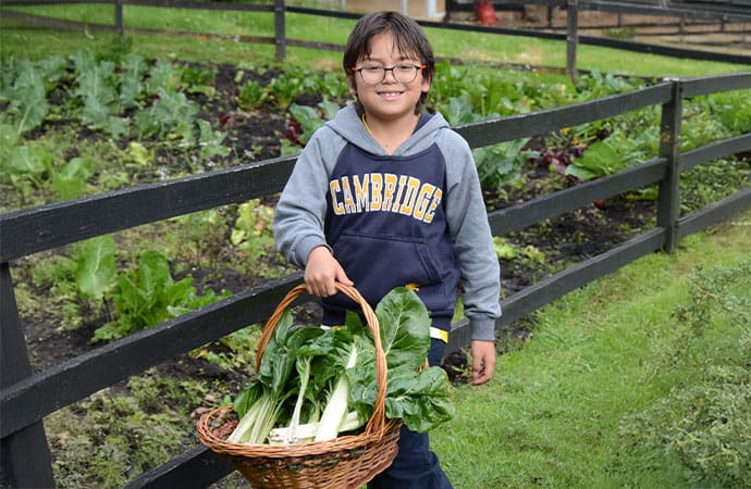 Niño aprendiendo sobre agricultura y sostenibilidad en la huerta escolar