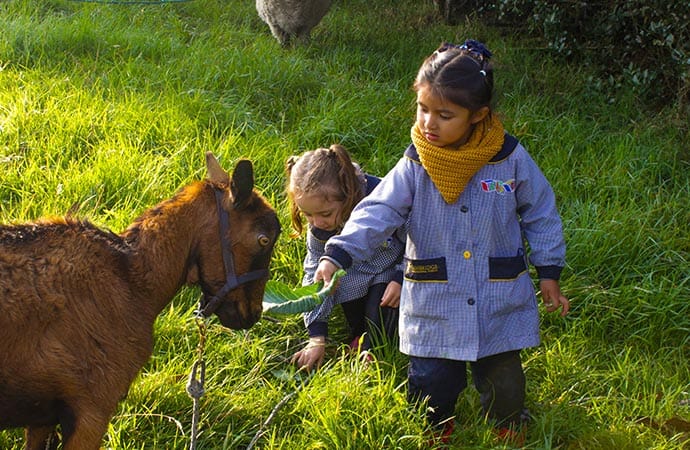 Estudiantes aprendiendo sobre el cuidado de los animales en un entorno natural educativo